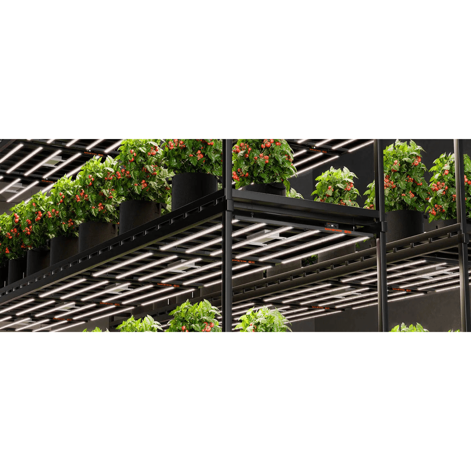 Spider Farmer SE7000 730W Dimmable Full Spectrum LED Grow Light