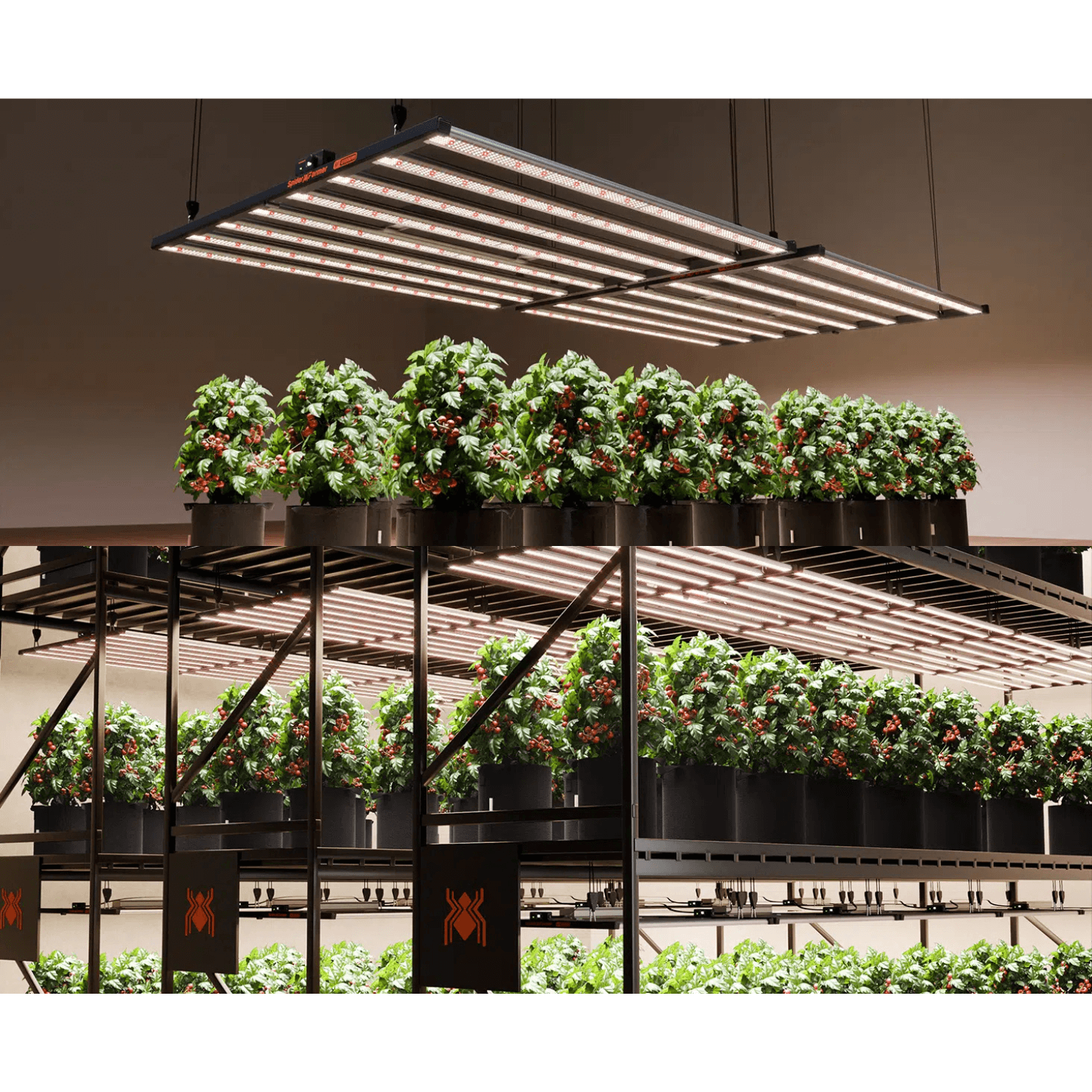 Spider Farmer G1000W 1000W Dimmable Full Spectrum CO2 LED Grow Light