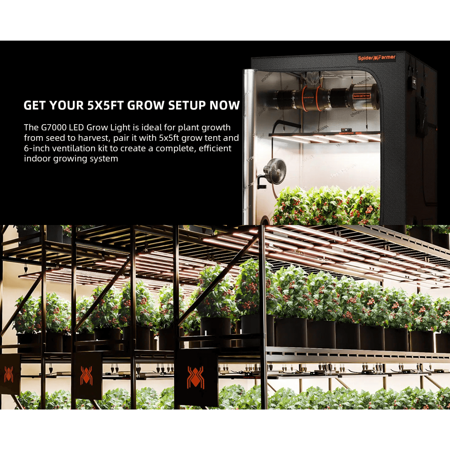 Spider Farmer G7000 730W Dimmable Full Spectrum LED Grow Light