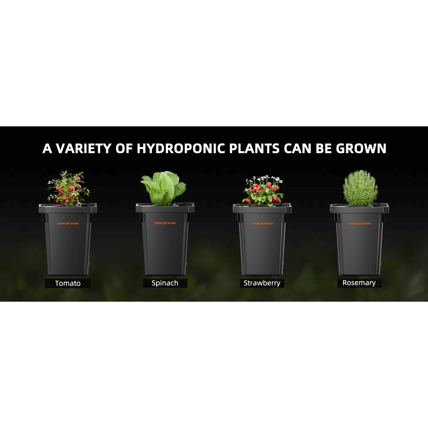Spider Farmer Deep Water Culture Hydroponics Grow System with Top Drip Kit - 4 Bucket Kit