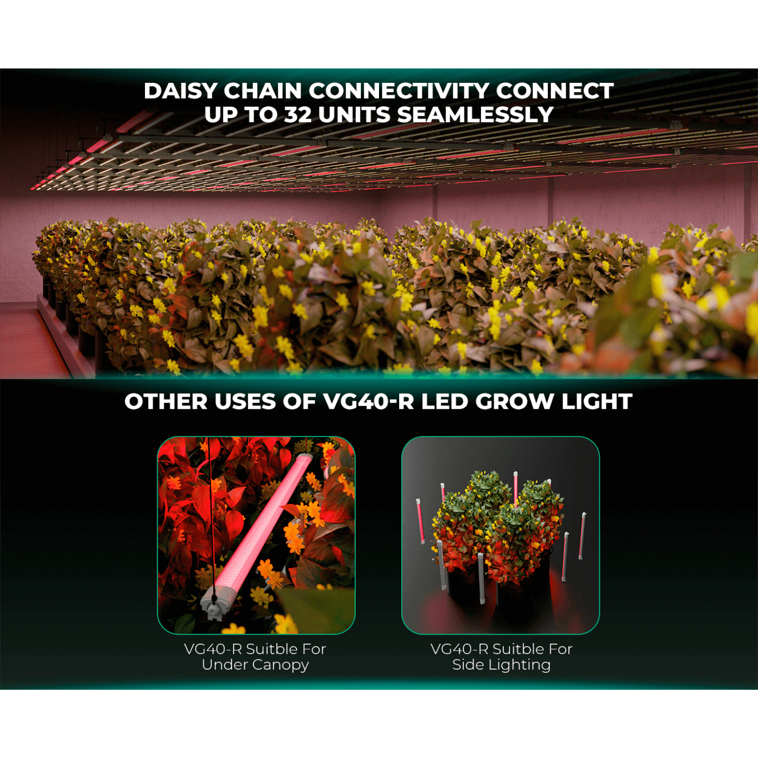 Mars Hydro VG40 40W Red Spectrum Seedling LED Grow Light