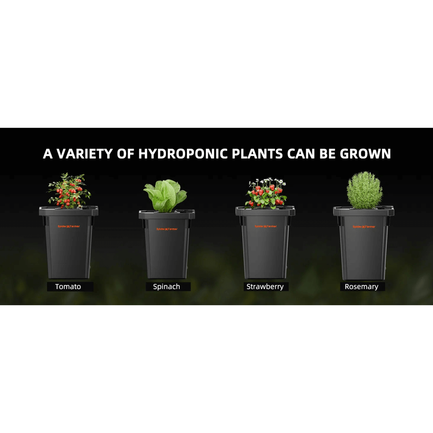 Spider Farmer Deep Water Culture Hydroponics Grow System with Top Drip Kit - 2 Bucket Kit