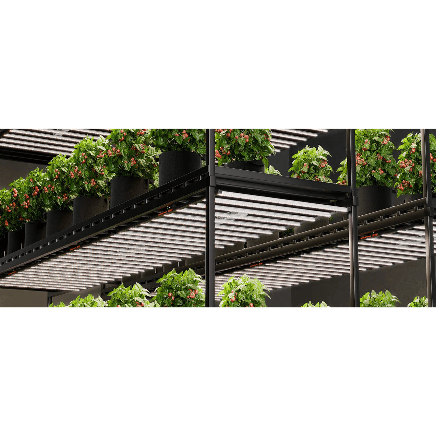 Spider Farmer SE1200 1200W Full Spectrum LED Grow Light with Samsung LM301H EVO Diodes and Bluetooth + WiFi SmartAPP Control