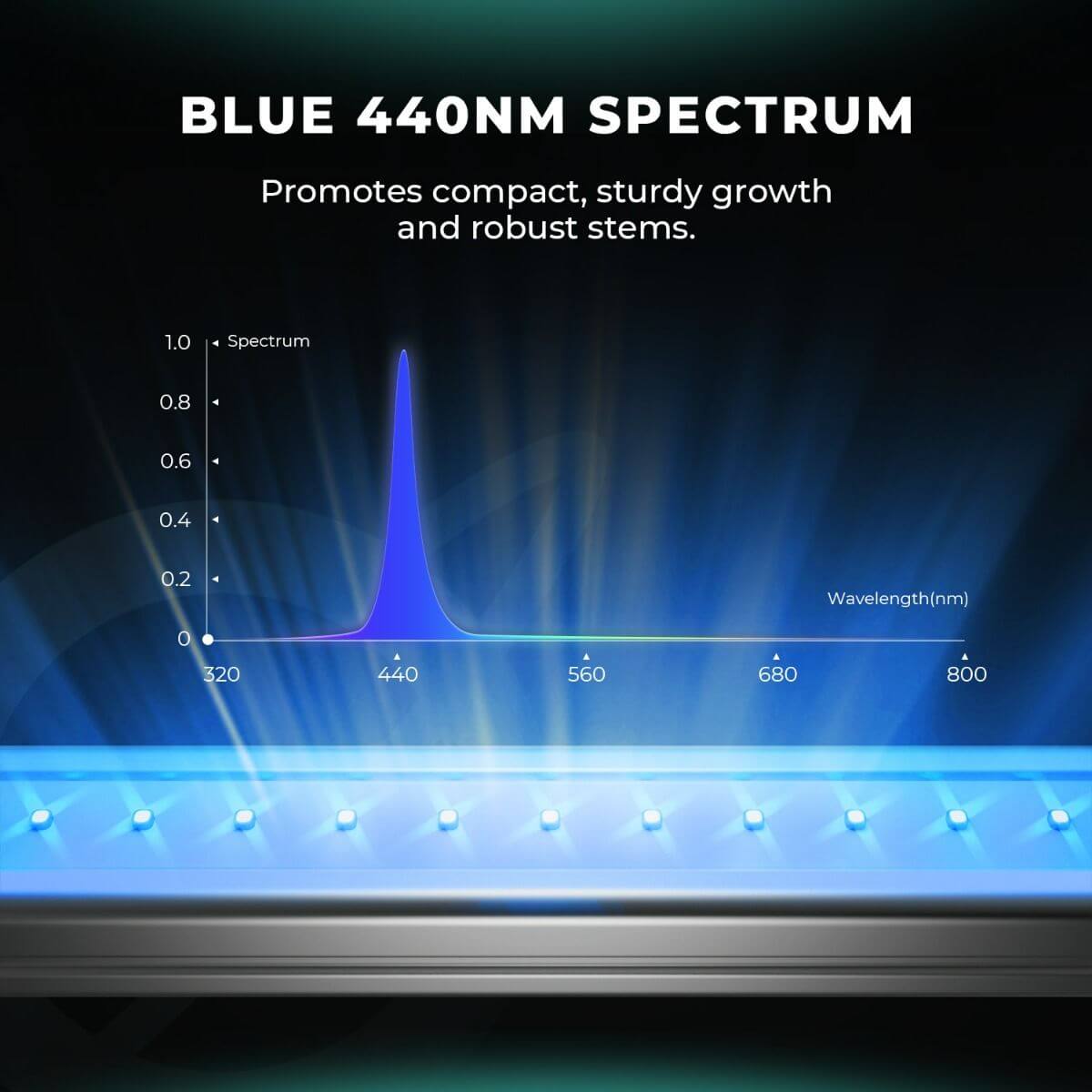 Mars Hydro ADlite Blue 30 15W Supplemental LED Grow Light Bars - Set of 2