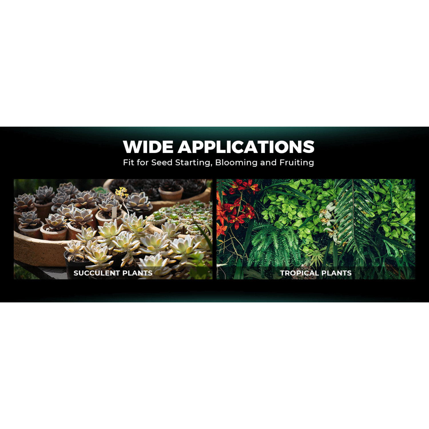 Mars Hydro VG40 40W Seedling Red LED Grow Light