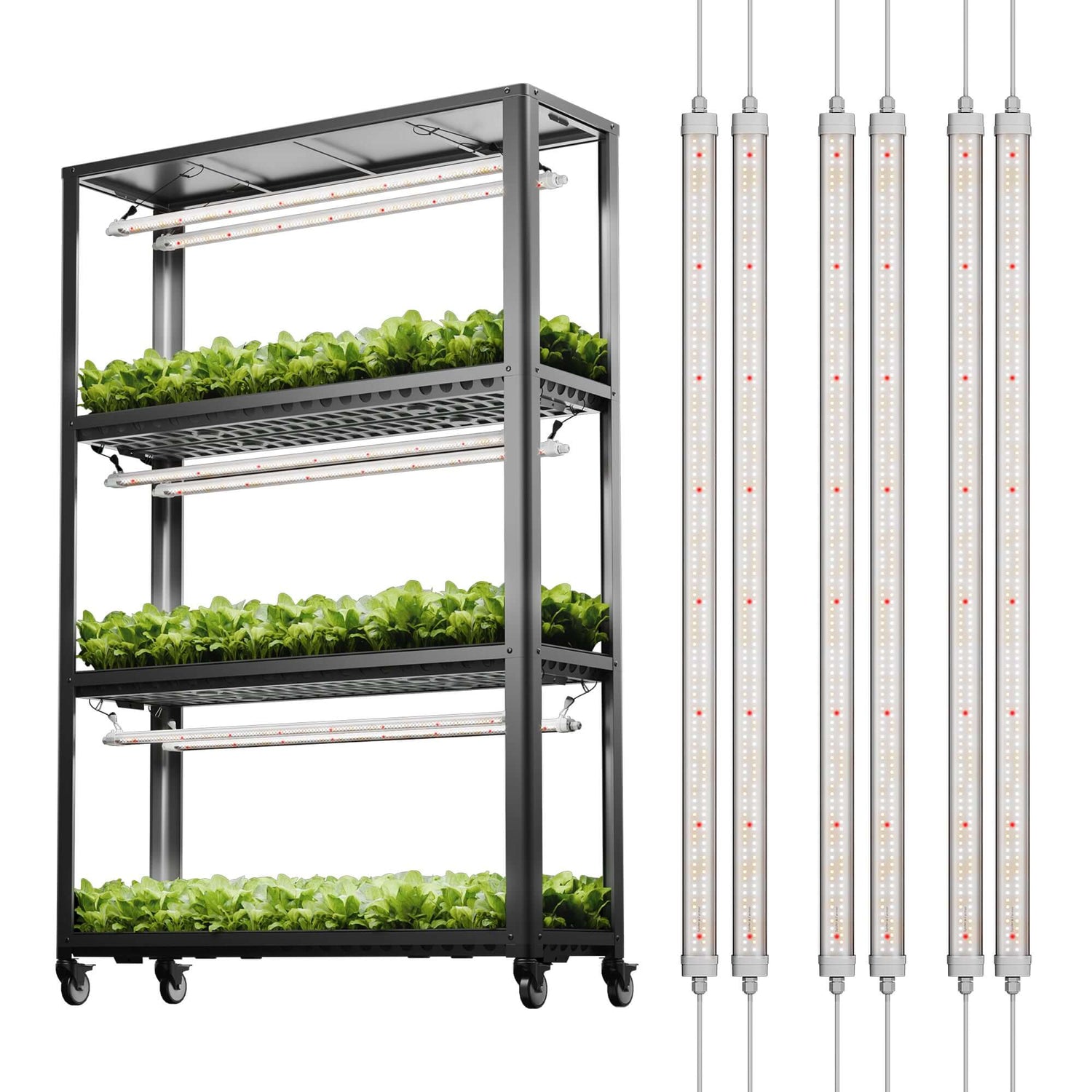 Spider Farmer Glow80 80W LED Grow Light and Metal Plant Stand with Trays