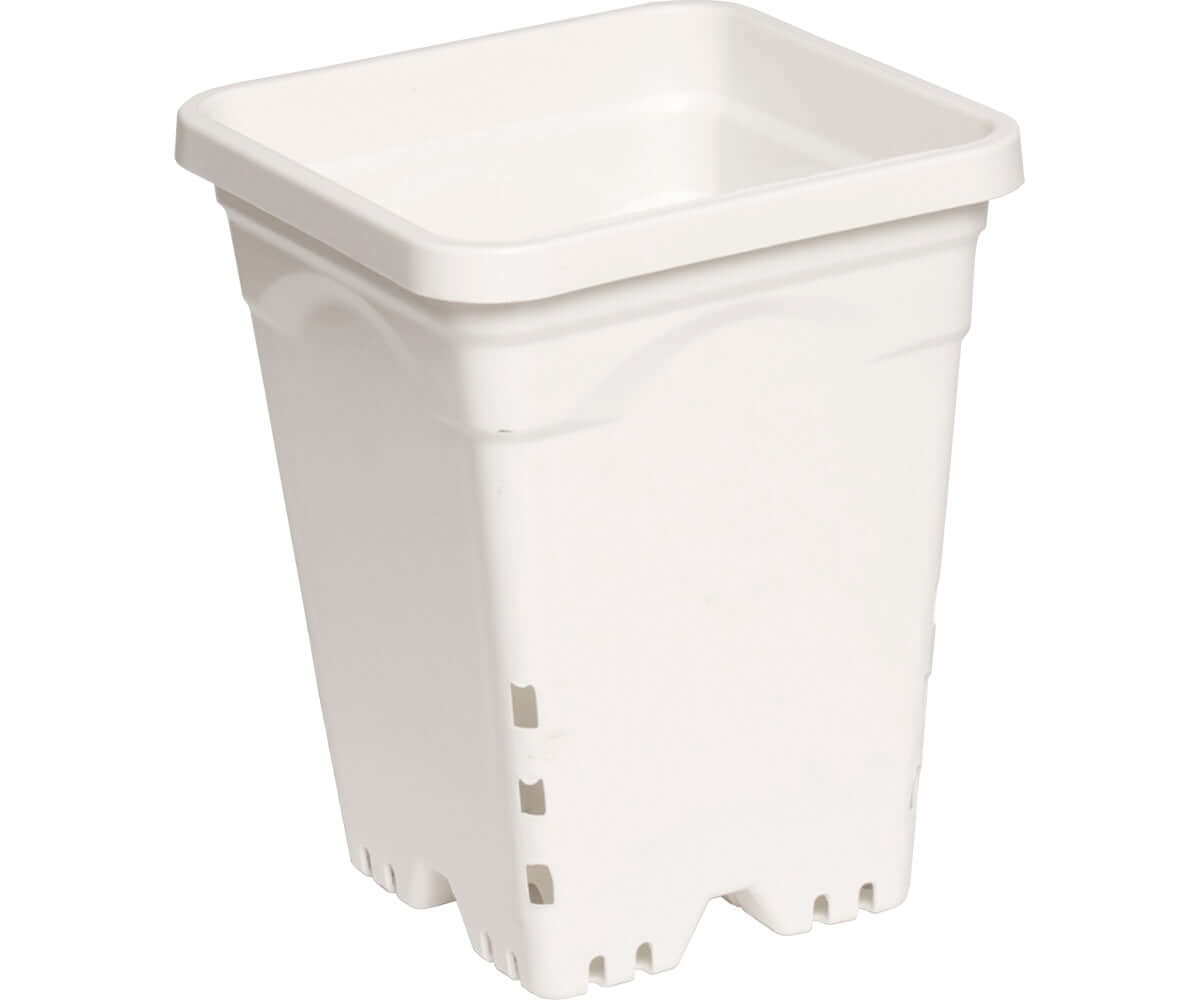 Active Aqua 7" x 7" Square White Pot, 9" Tall, case of 50