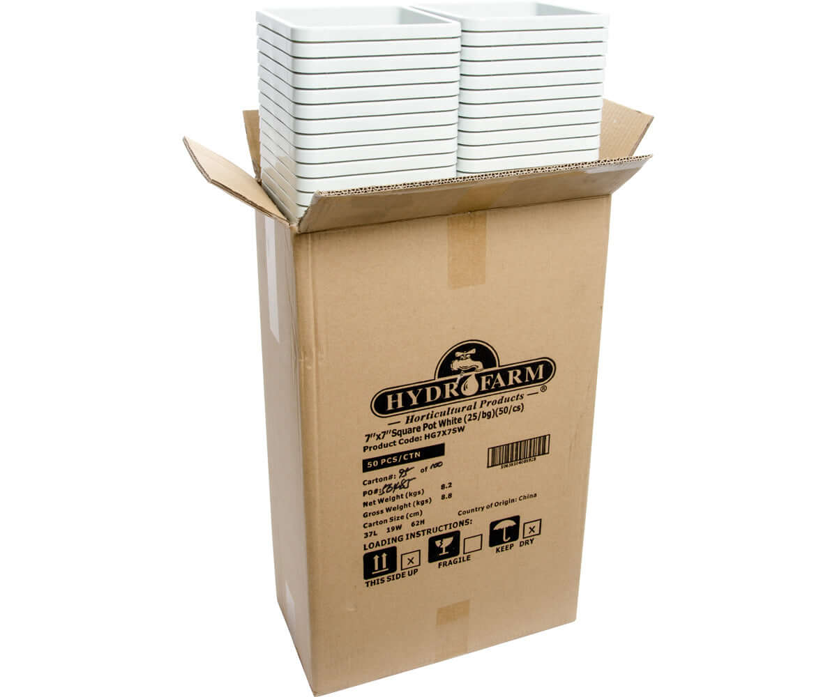 Active Aqua 7" x 7" Square White Pot, 9" Tall, case of 50