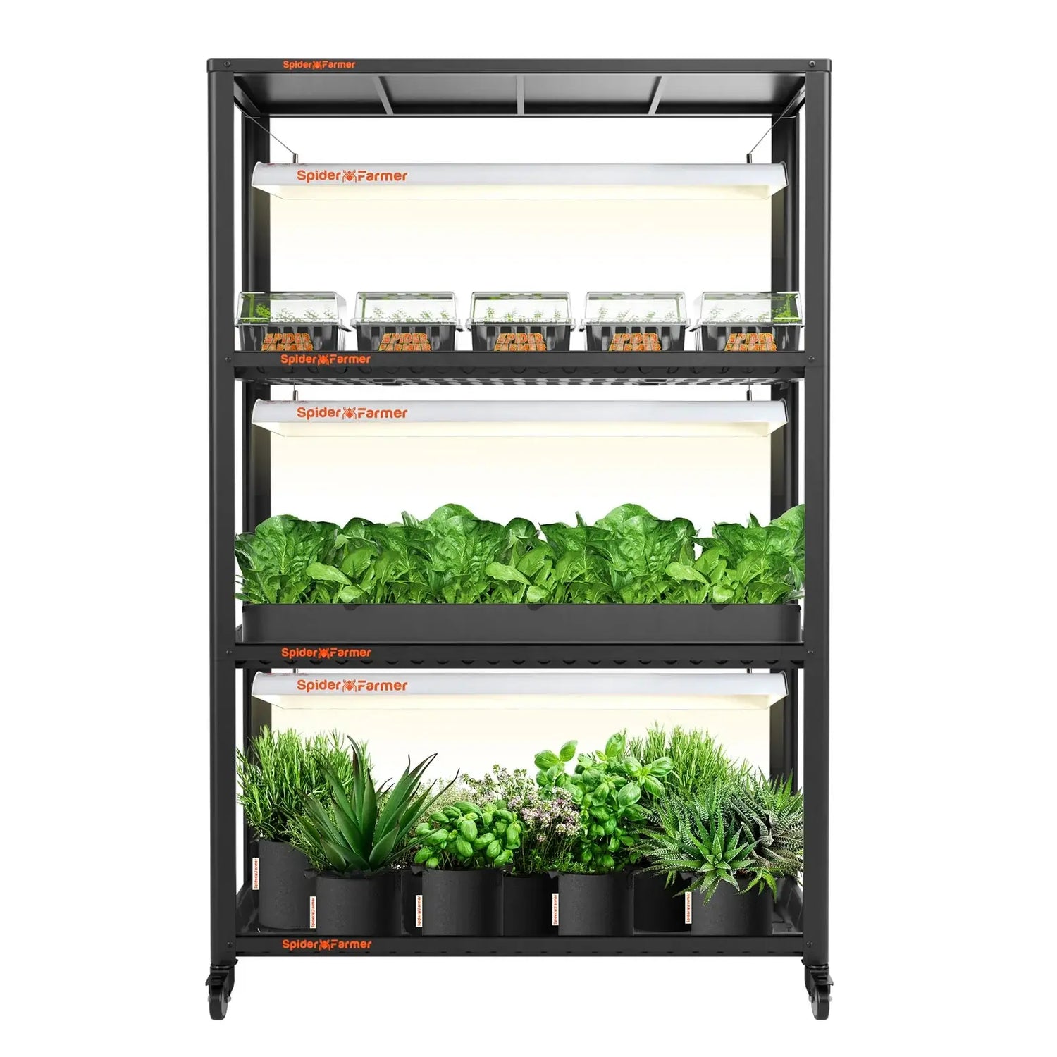 Spider Farmer SF600 and Growshelves Combo - Indoor LED Grow Light and Metal Plant Stand with Plant Trays