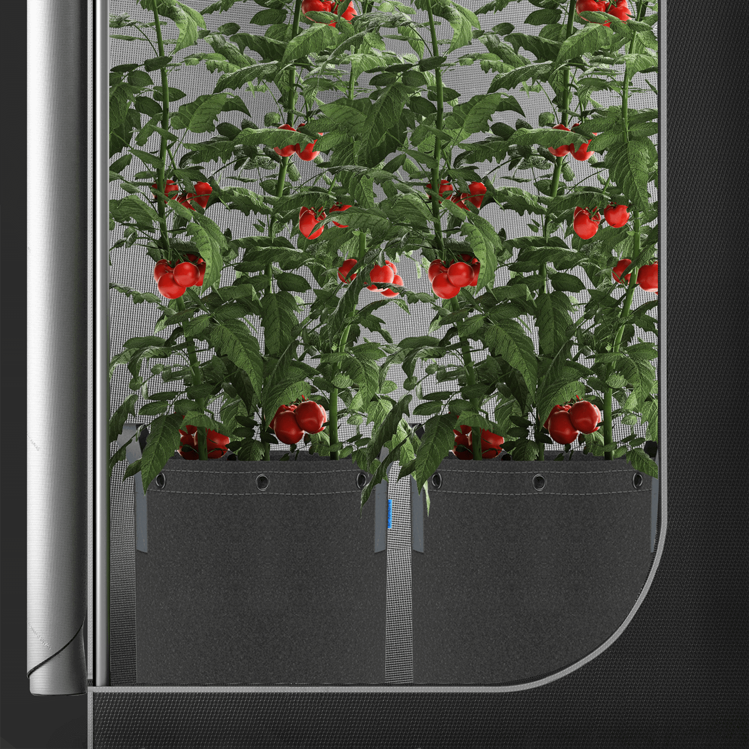 AC Infinity Heavy Duty Fabric Pots,  5 Gallon, 5-Pack