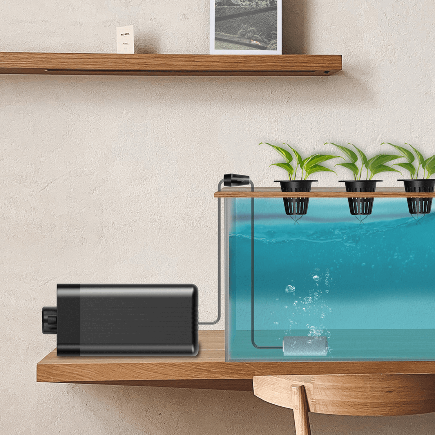 AC Infinity Hydroponics Air Pump, One-Outlet Pumping Kit, 24 GPH (1.5 L/M)