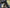 GAIA Campers 3rd Gen Toyota Tacoma Shortbed Camper - 2016+ (Downpayment)