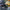 GAIA Campers Ford Maverick Truck Cap - 2021+ (Downpayment)