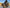GAIA Campers Jeep Gladiator Truck Cap - 2020+