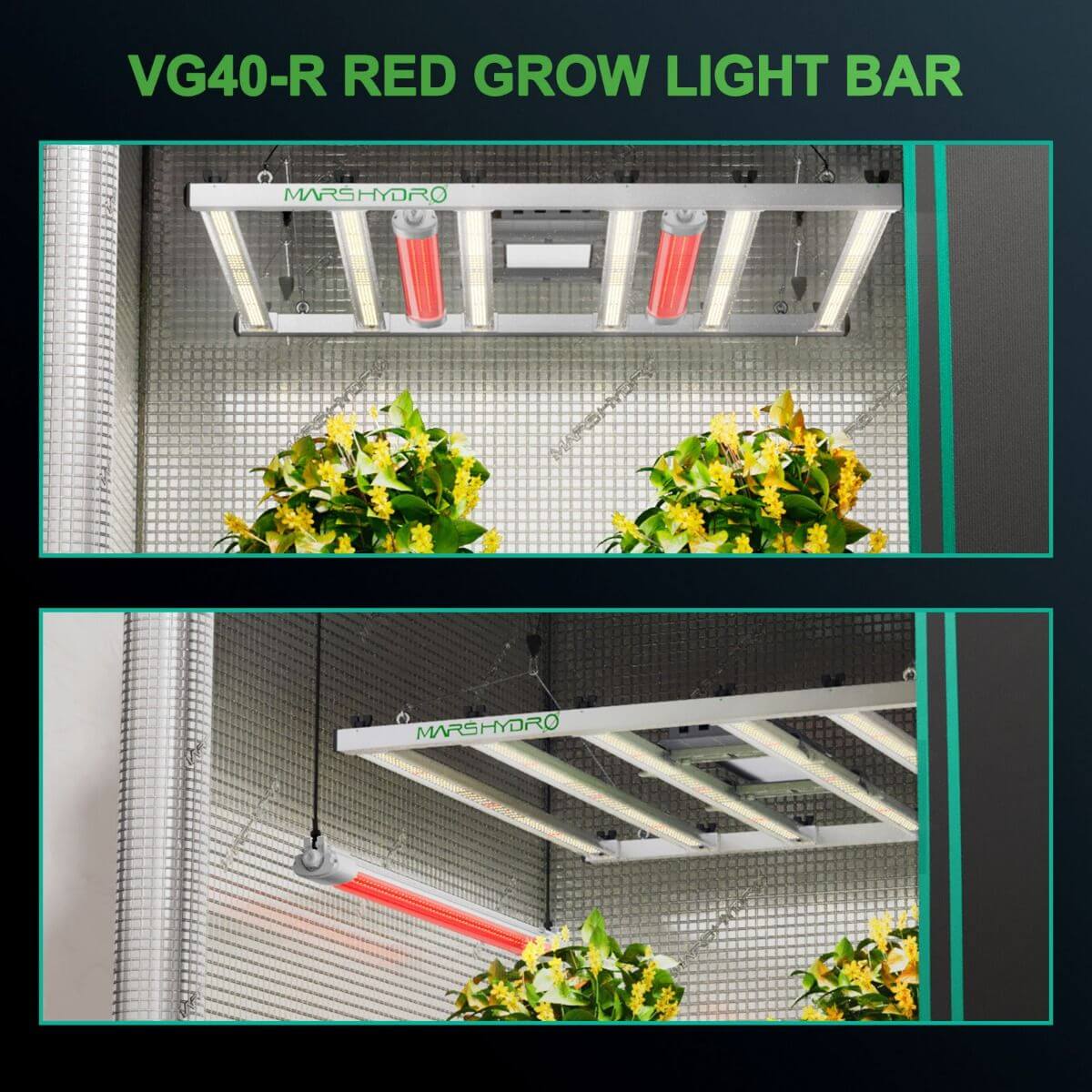 Mars Hydro VG40 40W Red Spectrum Seedling LED Grow Light